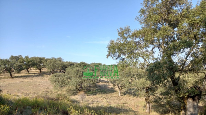 Huelva - Арройомолинос-де-Леон - 113591m2