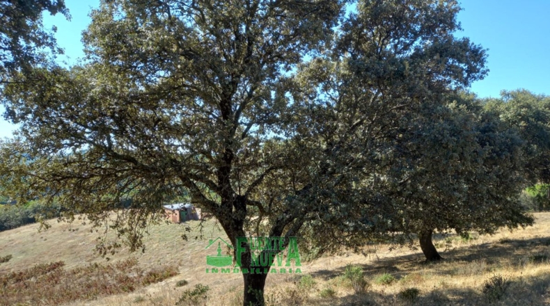 Badajoz - Calera de León - 78700m2