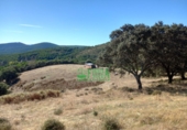 Finca rústica en venta en Calera de León ref: TR298108 foto