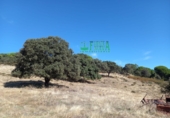 Finca rústica en venta en Calera de León ref: TR298108 foto