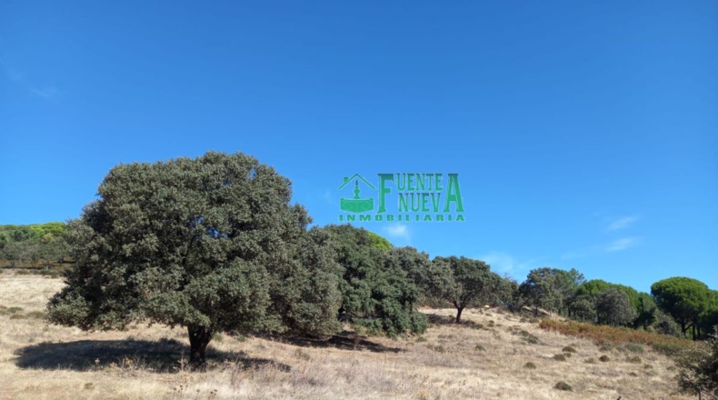 Badajoz - Calera de León - 78700m2
