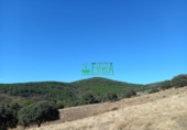 Finca rústica en venta en Calera de León ref: TR298108 foto
