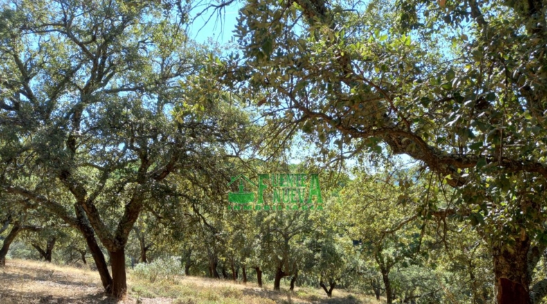 Badajoz - Calera de León - 78700m2