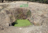 Finca rústica en venta en Calera de León ref: TR298108 foto
