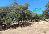 Finca rústica en venta en Calera de León ref: TR298108 foto