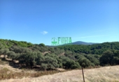 Finca rústica en venta en Calera de León ref: TR298108 foto