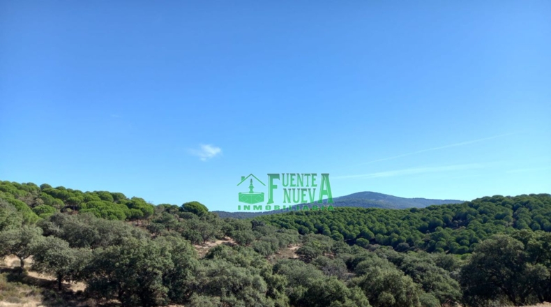Badajoz - Calera de León - 78700m2