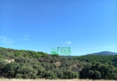 Finca rústica en venta en Calera de León ref: TR298108 foto