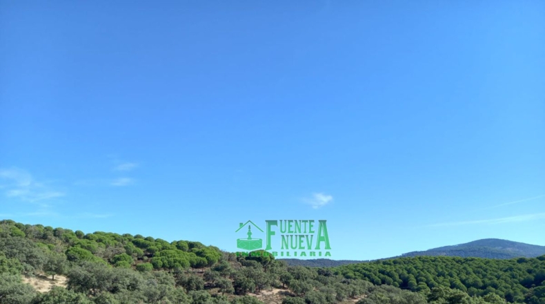 Badajoz - Calera de León - 78700m2
