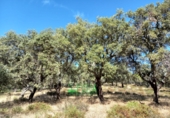 Finca rústica en venta en Calera de León ref: TR298108 foto