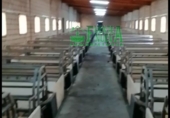 Terreny no urbanitzable en venda a Huelva ref.: TR296408 foto