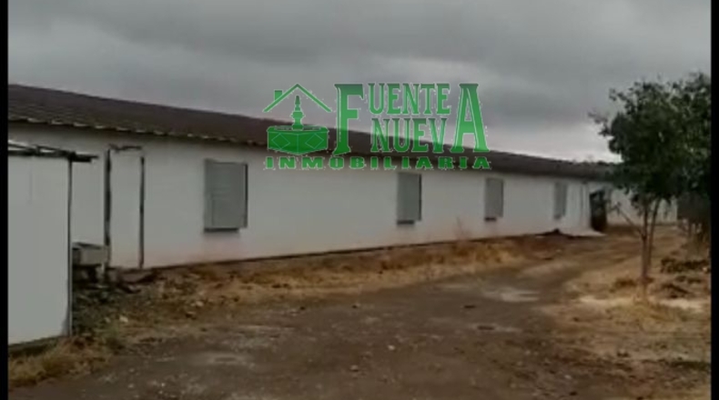 Huelva - Huelva - 92856m2