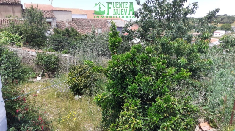 Badajoz - Fuentes de León - 413m2