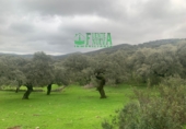 Terreny no urbanitzable en venda a Huelva ref.: TR297631 foto