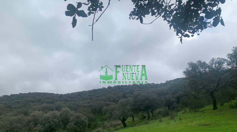 Huelva - Уэльва - 360000m2