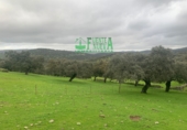Terreny no urbanitzable en venda a Huelva ref.: TR297631 foto