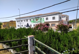 Foto 17