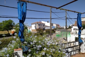 Foto 16