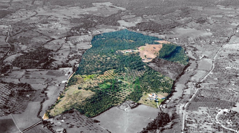 Badajoz - Fregenal de la Sierra - 800000m2