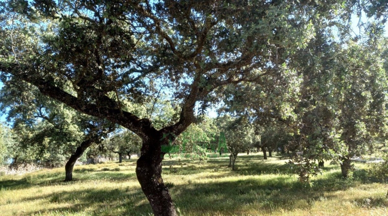Badajoz - Fregenal de la Sierra - 800000m2