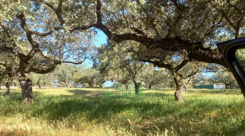 Badajoz - Fregenal de la Sierra - 800000m2