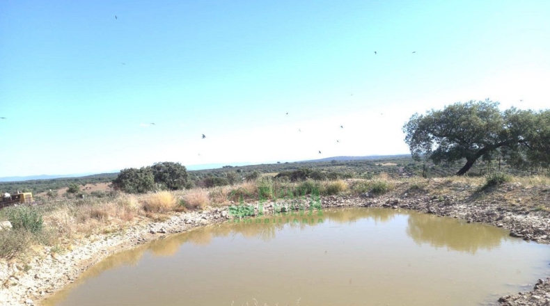 Badajoz - Fregenal de la Sierra - 800000m2