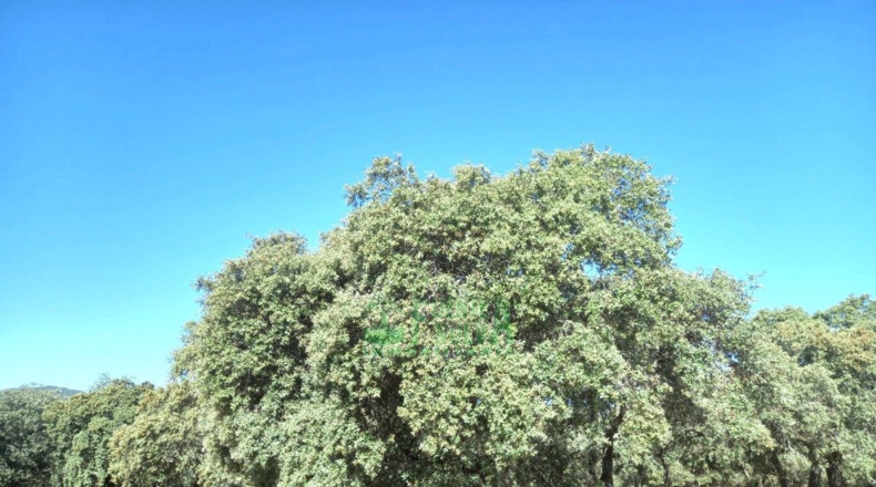 Badajoz - Fregenal de la Sierra - 800000m2