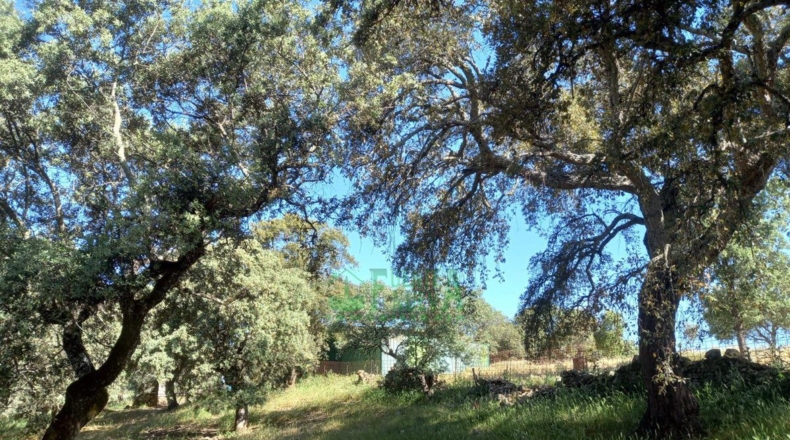 Badajoz - Fregenal de la Sierra - 800000m2