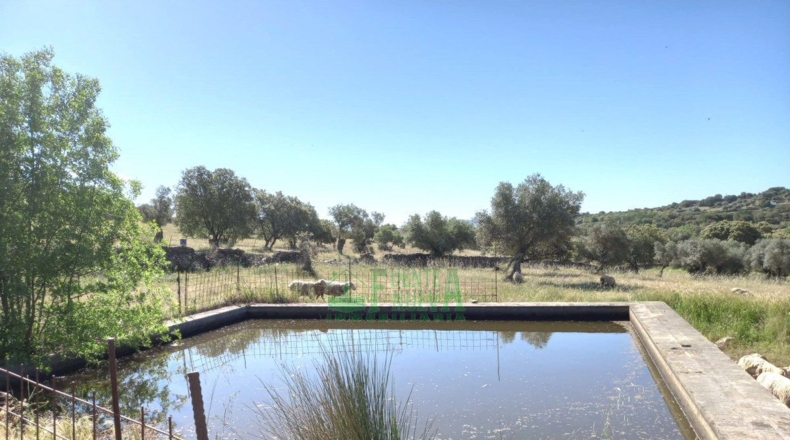 Badajoz - Fregenal de la Sierra - 800000m2