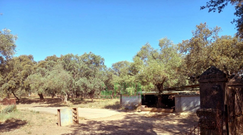 Badajoz - Fregenal de la Sierra - 800000m2