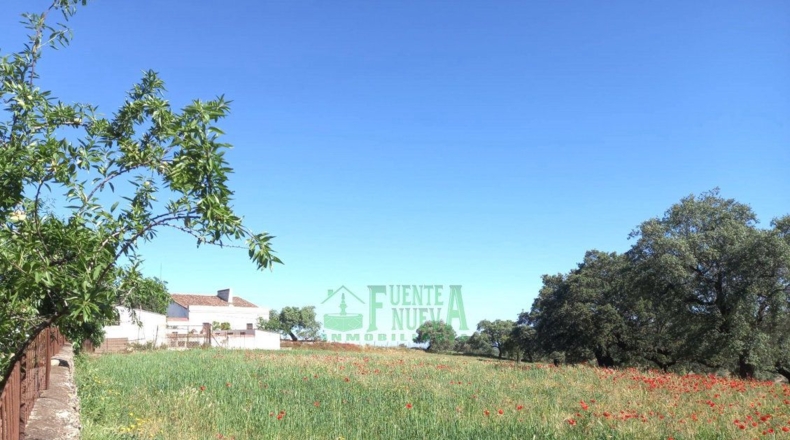 Badajoz - Fregenal de la Sierra - 800000m2
