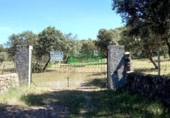 Земельный участок на продажу в городе Fregenal de la Sierra. Фото