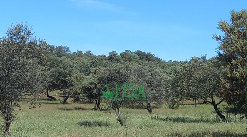 Badajoz - Fregenal de la Sierra - 800000m2