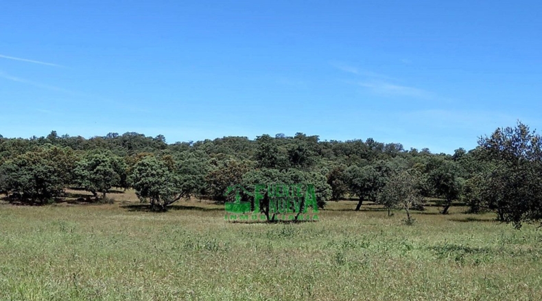 Badajoz - Fregenal de la Sierra - 800000m2