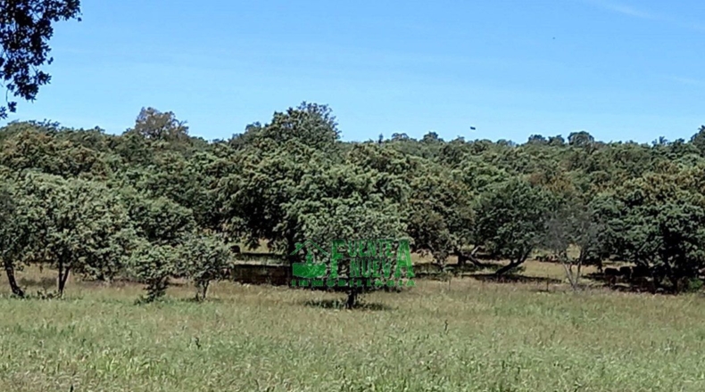 Badajoz - Fregenal de la Sierra - 800000m2
