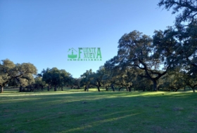 Bodonal de la Sierra 9268&nbsp;m² 