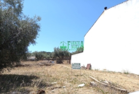 Segura de León 201&nbsp;m² 
