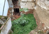 Sòl urbà en venda a Segura de León ref.: TR297999 foto