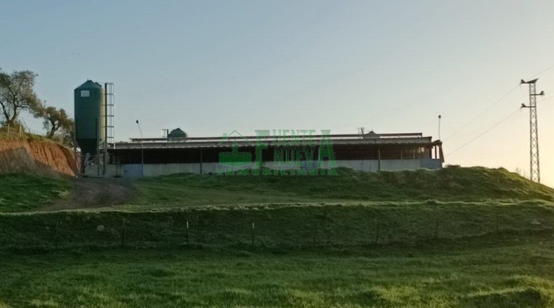 Huelva - Арасена - 3500000m2