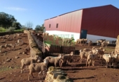 Non-developable land for sale in Aracena ref: TR295448 photo