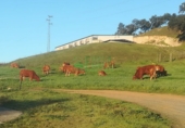 Non-developable land for sale in Aracena ref: TR295448 photo