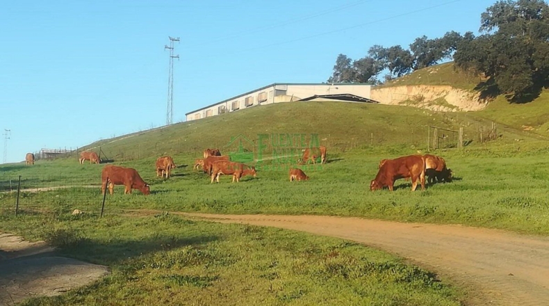 Huelva - Арасена - 3500000m2