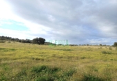 Non-developable land for sale in Fregenal de la Sierra ref: TR319215 photo