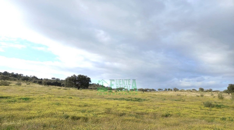 Badajoz - Fregenal de la Sierra - 640000m2
