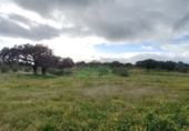 Non-developable land for sale in Fregenal de la Sierra ref: TR319215 photo