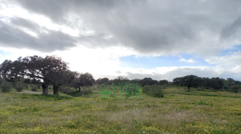 Badajoz - Fregenal de la Sierra - 640000m2