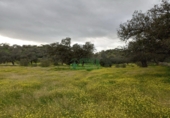Non-developable land for sale in Fregenal de la Sierra ref: TR319215 photo