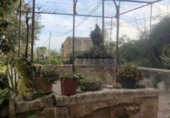 Finca rústica en venta en Palma ref: TR13006 foto