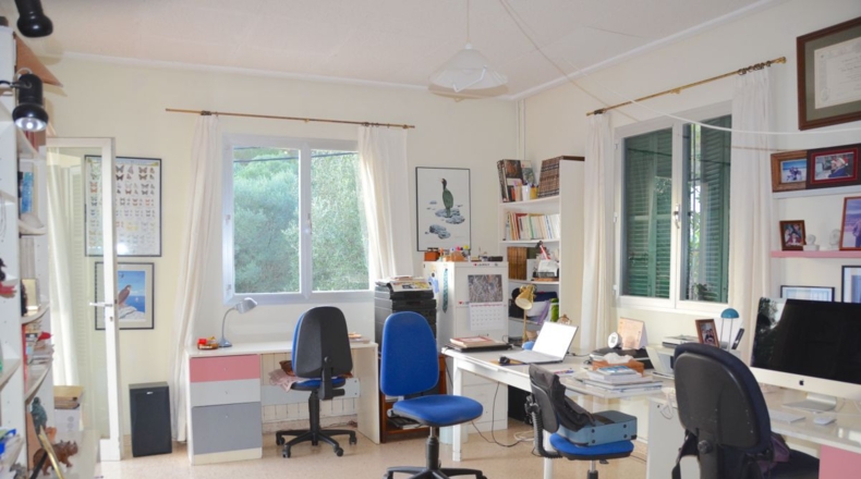 Islas Baleares - Palma - 530m2