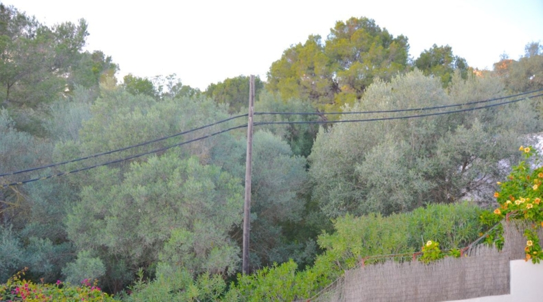 Islas Baleares - Palma - 530m2